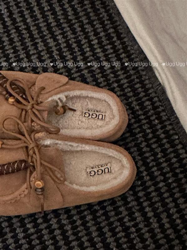 2025126111721962 260